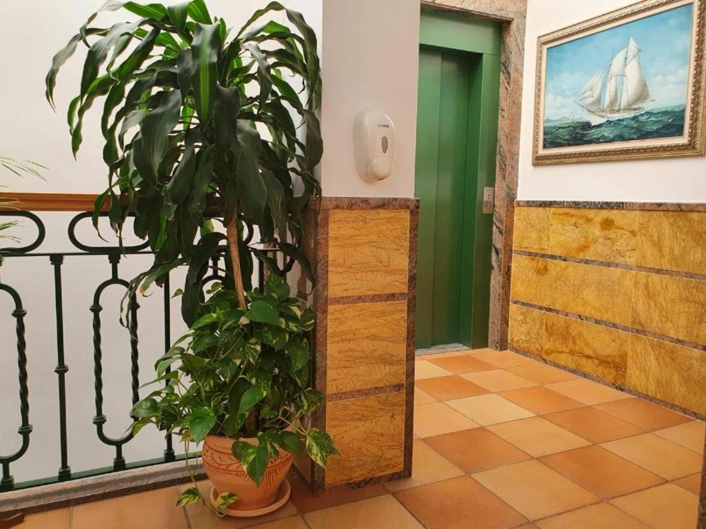 Apartamentos Leonor Carihuela توريمولينوس المظهر الخارجي الصورة